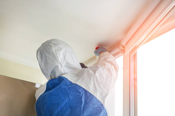 Why You Should Choose Our Mold Remediation Services in Darien, IL